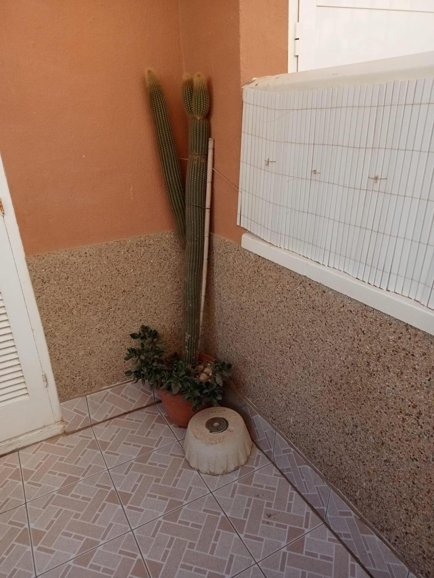 Mar-Home-Costa-Blanca La Mata  Exterior photo